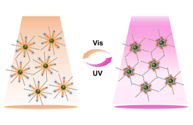 Synergistic modulation of steric hindrance and isomerization space for enhanced photo-regulated performance of metal-organic polyhedra 2026.100962